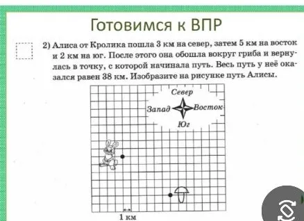 Алиса от Кролика пошла 3 км на север, затем 5 км на восток и 2 км на юг. После этого она обошла вокруг гриба и вернулась в точку, с которой начинала путь. Весь путь у неё оказался равен 38 км. Изобразите на рисунке путь Алисы.