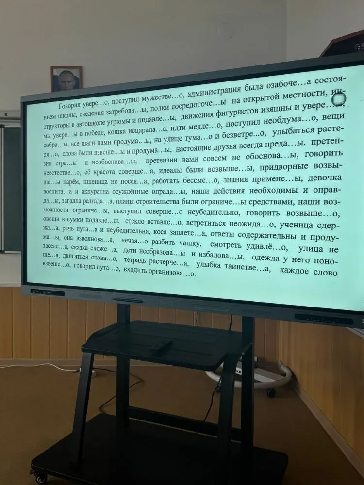 Напишите краткие формы слов, вставляя пропущенные буквы н или нн.