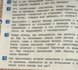 Как закончилась встреча мальчиков с капалухой? Как ты думаешь, изменится ли их отношение к природе после этого случая или нет?