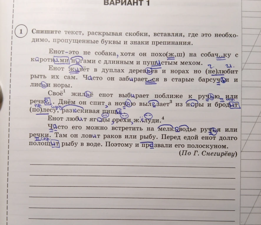 Спишите текст, раскрывая скобки, вставляя, где это необходимо, пропущенные буквы и знаки препинания.