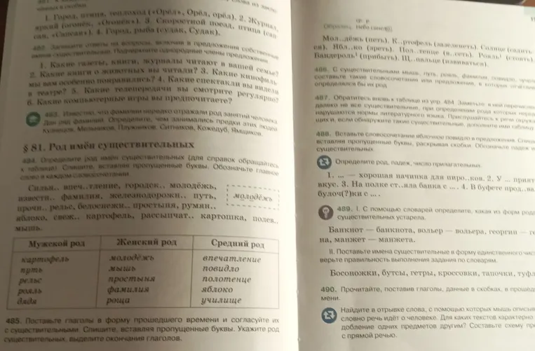 Определите род имён существительных; спишите, вставляя пропущенные буквы. Обозначьте главное слово в каждом словосочетании.