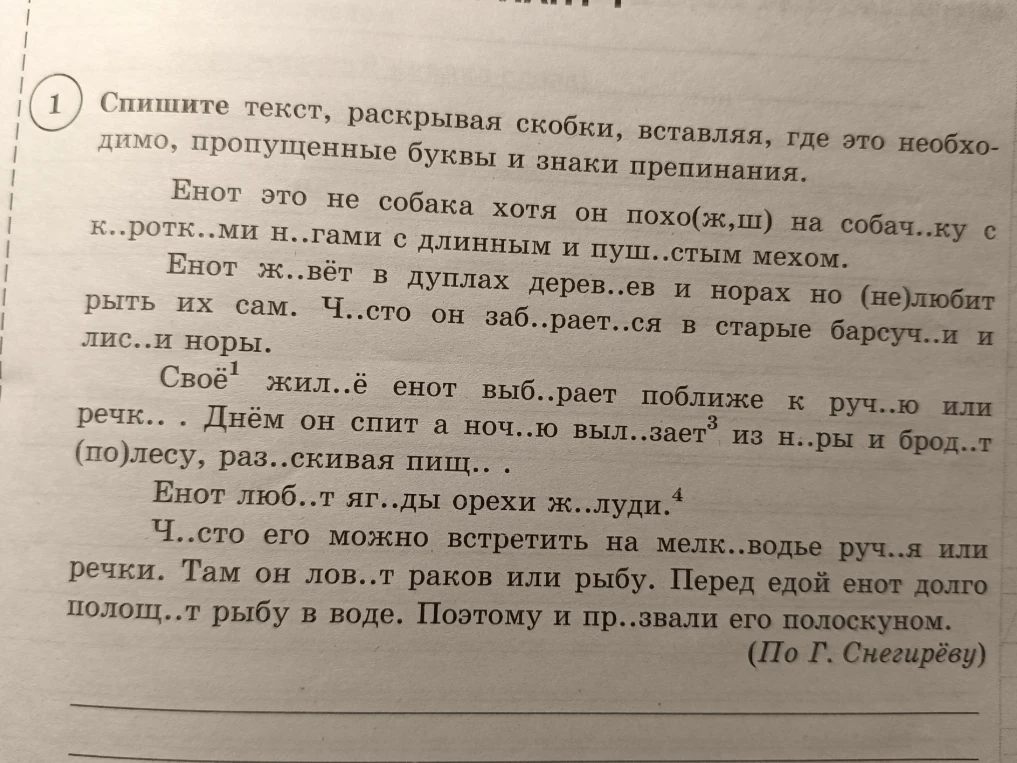 Спишите текст, раскрывая скобки, вставляя, где это необходимо, пропущенные буквы и знаки препинания.