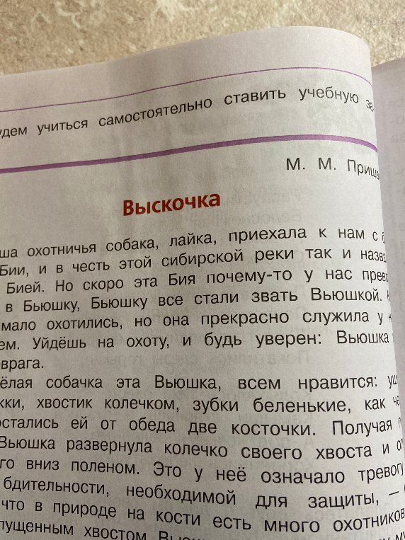Отзыв на рассказ Выскочка