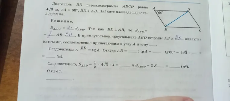 Диагональ BD параллелограмма ABCD равна 4√3 м, ∠A = 60°, BD ⊥ AB. Найдите площадь параллелограмма.