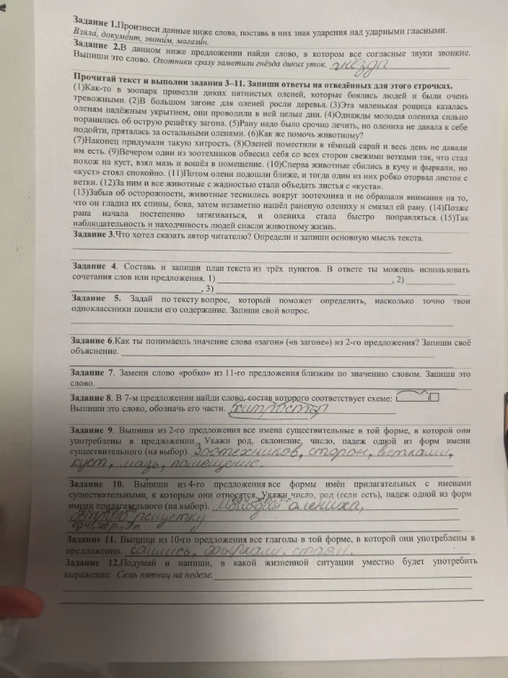 Произнеси данные ниже слова, поставь в них знак ударения над ударными гласными. В данном ниже предложении найди слово, в котором все согласные звуки звонкие.