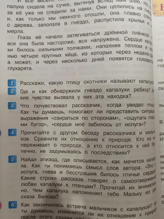 Расскажи, какую птицу охотники называют капалухой? Где и как обнаружили гнездо капалухи ребята?