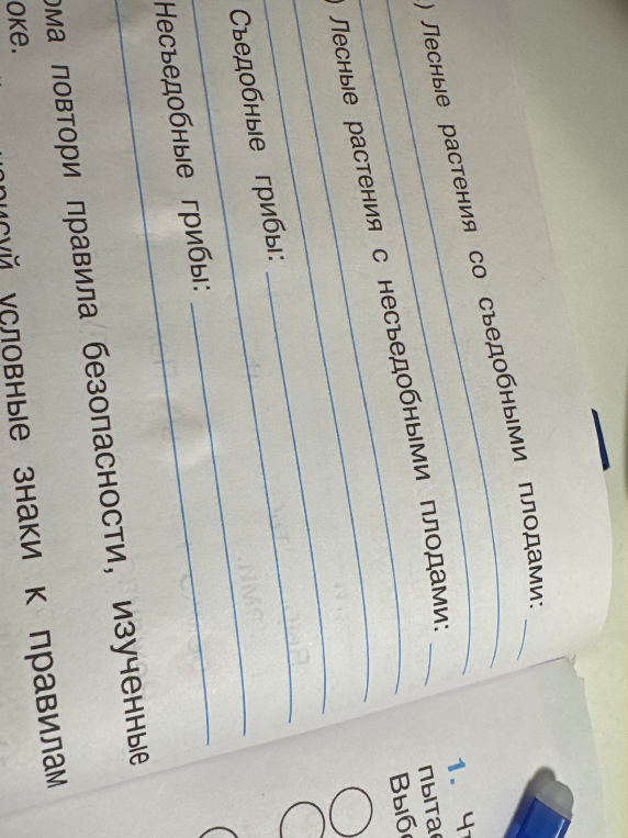 Лесные растения со съедобными плодами; Лесные растения с несъедобными плодами; Съедобные грибы; Несъедобные грибы