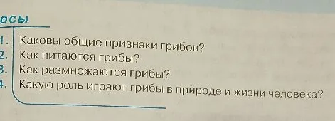 Каковы общие признаки грибов? Как питаются грибы? Как размножаются грибы? Какую роль играют грибы в природе и жизни человека?