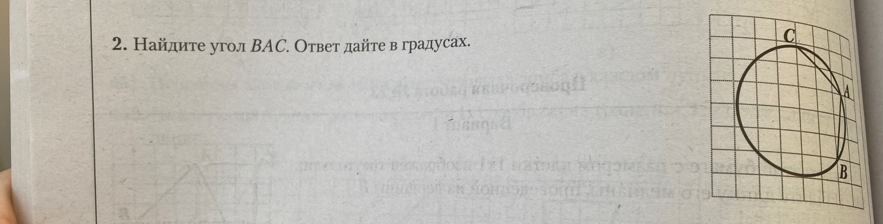 Найдите угол BAC. Ответ дайте в градусах.