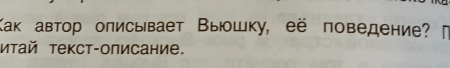 Как автор описывает Вьюшку, её поведение? Прочитай текст-описание.