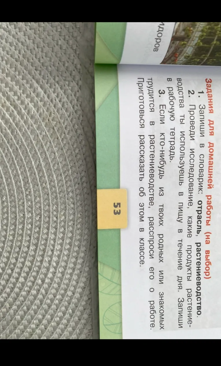Запиши в словарик: отрасль, растениеводство. Проведи исследование, какие продукты растениеводства ты используешь в пищу в течение дня.