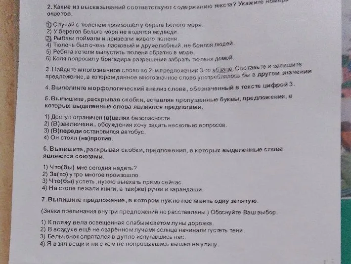 Выполните задания по русскому языку: работа с текстом, морфологический анализ, правописание предлогов и союзов, пунктуация.