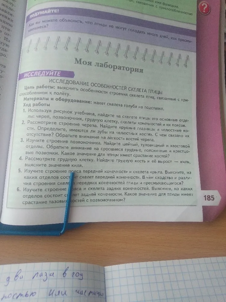 Как вы можете объяснить, что птицы не могут голодать много дней, как пресмыкающиеся?
