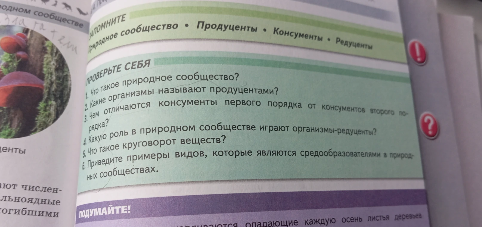1. Что такое природное сообщество? 2. Какие организмы называют продуцентами? 3. Чем отличаются консументы первого порядка от консументов второго порядка? 4. Какую роль в природном сообществе играют организмы-редуценты? 5. Что такое круговорот веществ? 6. Приведите примеры видов, которые являются средообразователями в природных сообществах.