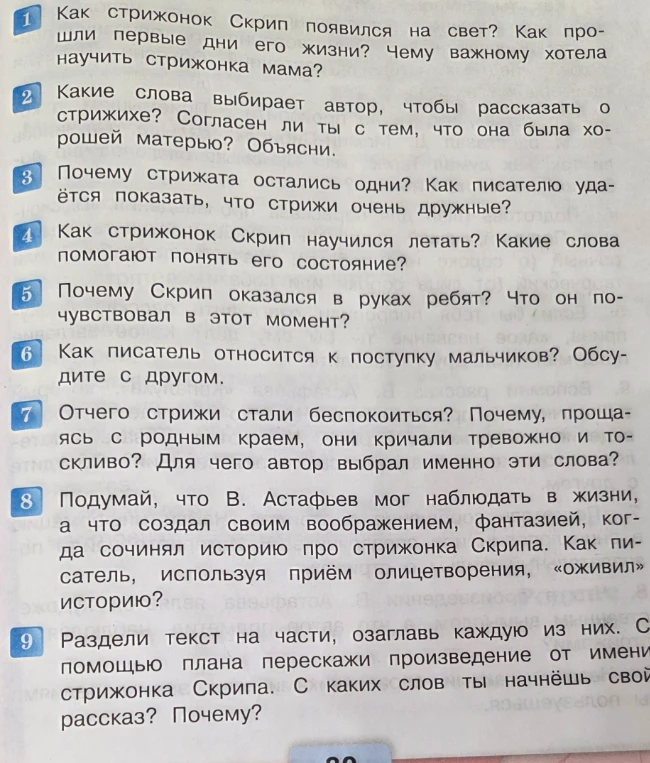 Как стрижонок Скрип появился на свет? Как прошли первые дни его жизни? Чему важному хотела научить стрижонка мама?