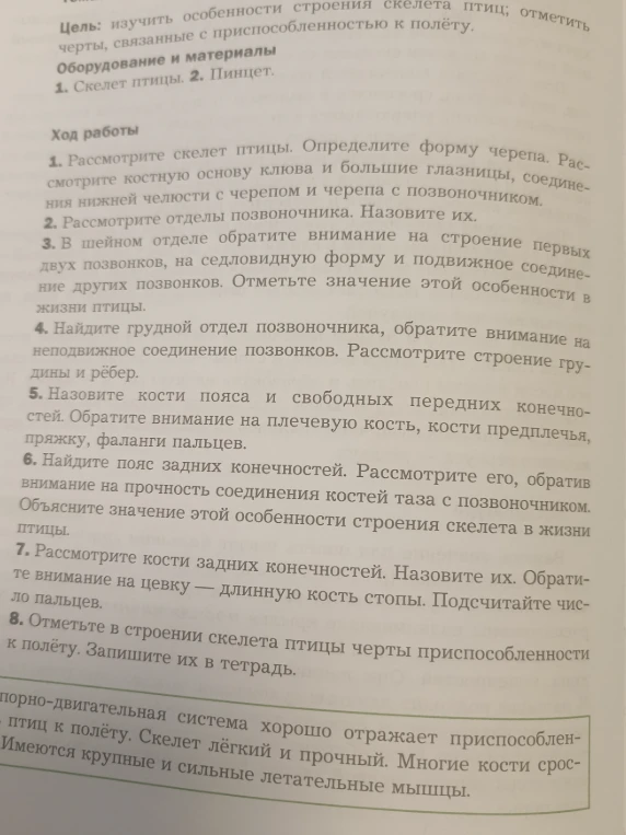 Отметьте в строении скелета птицы черты приспособленности к полёту. Запишите их в тетрадь.