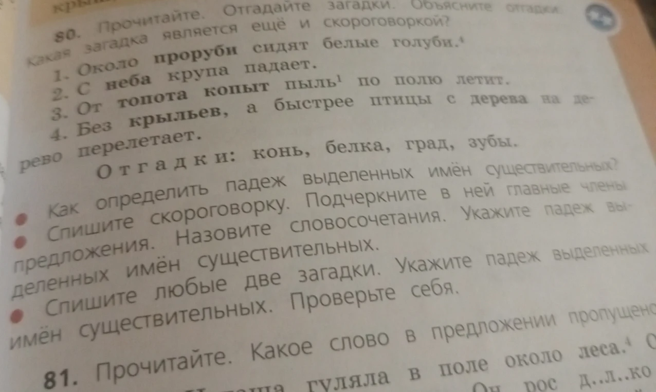 Прочитайте. Отгадайте загадки. Объясните отгадки. Какая загадка является ещё и скороговоркой?