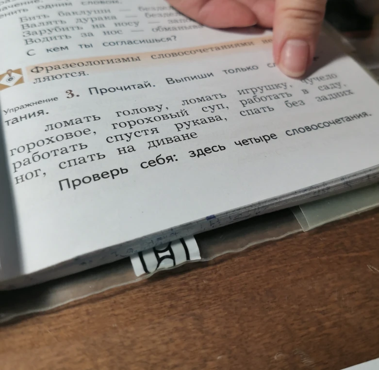 Прочитай. Выпиши только словосочетания: ломать голову, ломать игрушку, чучело гороховое, гороховый суп, работать в саду, работать спустя рукава, спать без задних ног, спать на диване.