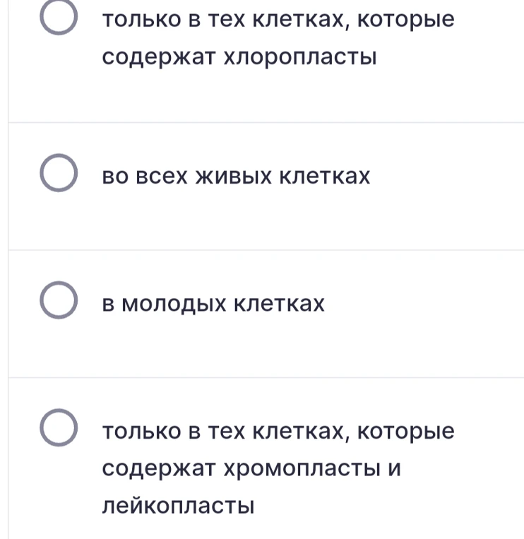 В каких клетках растений происходит процесс фотосинтеза?