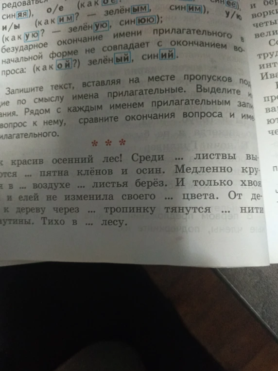 Запишите текст, вставляя на месте пропусков подходящие по смыслу имена прилагательные. Выделите окончания. Рядом с каждым именем прилагательным запишите вопрос к нему, сравните окончания вопроса и имени прилагательного.