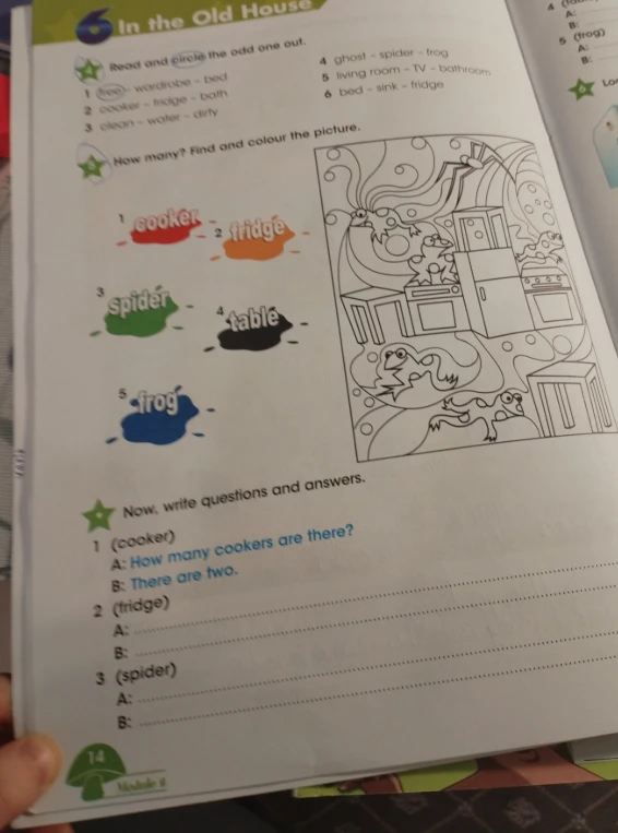 Read and circle the odd one out. Now, write questions and answers.