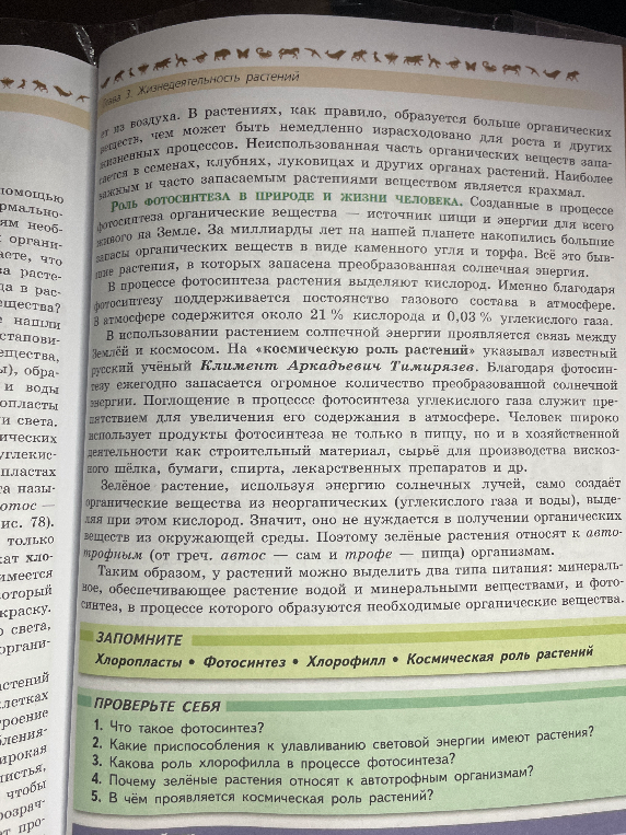 сделай конспект