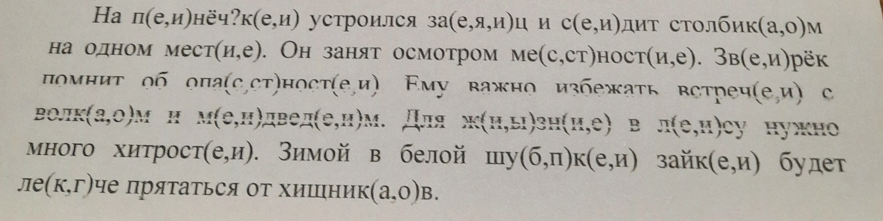 На п(е,и)нёч?к(е,и) устроился за(е,я,и)ц и с(е,и)дит столбик(а,о)м на одном мест(и,е).