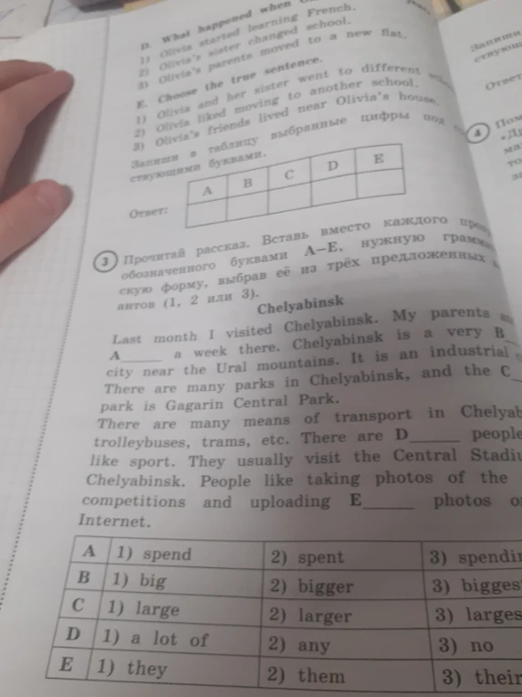 Прочитай рассказ. Вставь вместо каждого пропуска, обозначенного буквами А–Е, нужную грамматическую форму, выбрав её из трёх предложенных вариантов (1, 2 или 3).