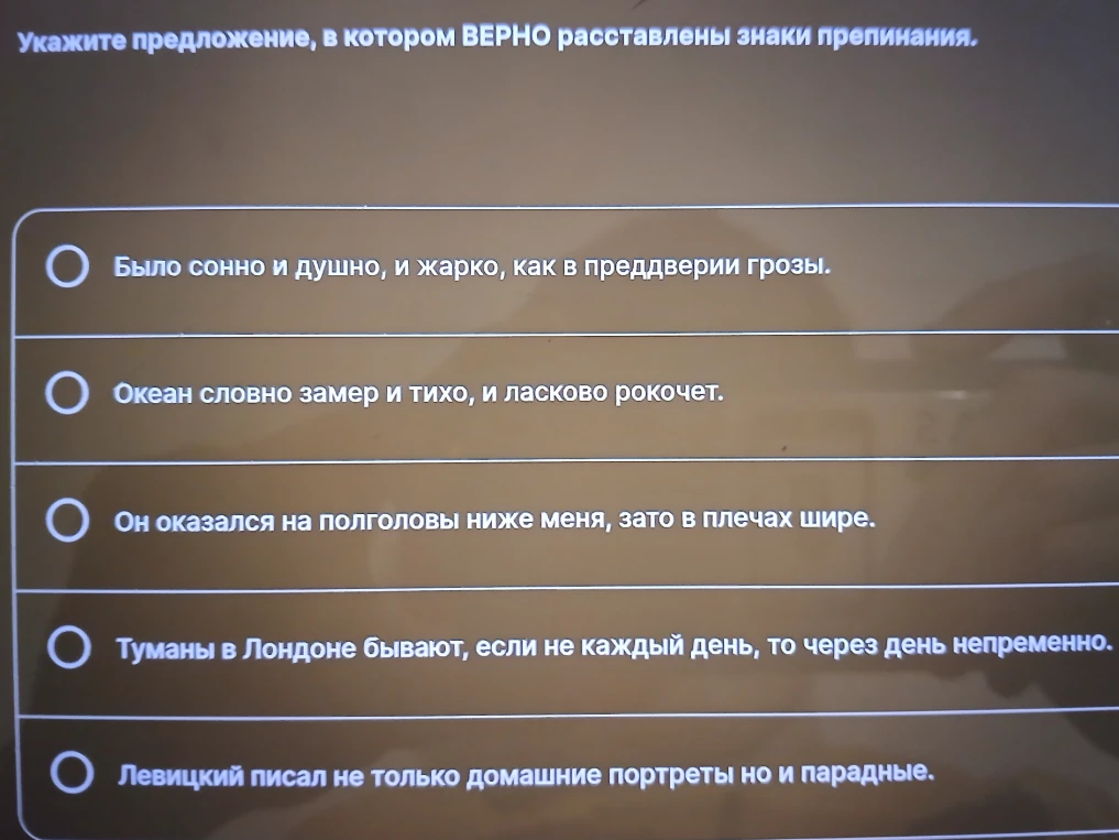 Укажите предложение, в котором ВЕРНО расставлены знаки препинания.