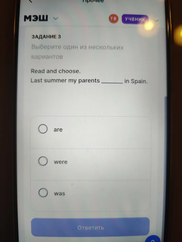 Read and choose. Last summer my parents ______ in Spain.