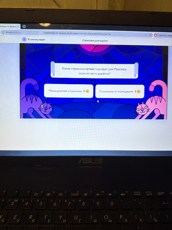 Какая страховка лучше подойдёт для Мурсира, если он часто дерётся?