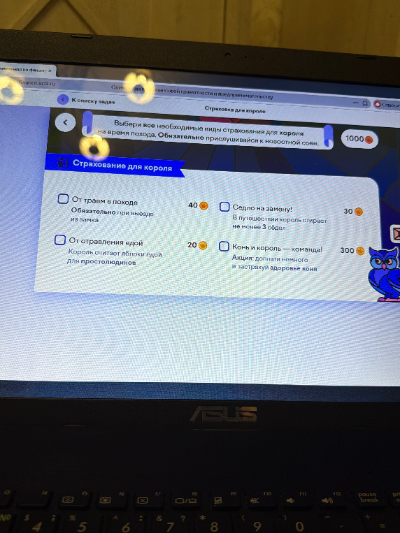 Выбери все необходимые виды страхования для короля на время похода.