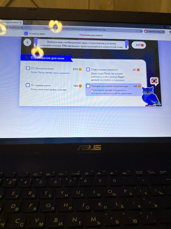 Выбери все необходимые виды страхования для коня на время похода. Обязательно прислушивайся к новостной сове.