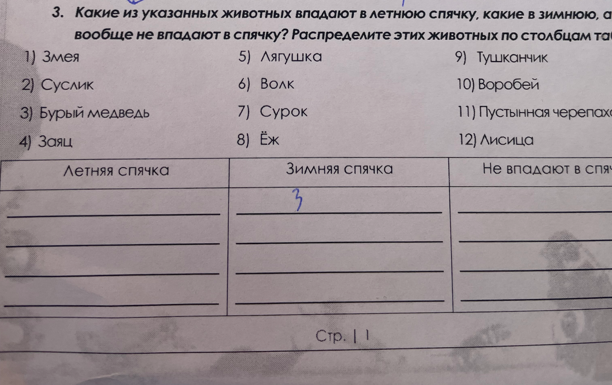 Какие из указанных животных впадают в летнюю спячку, какие в зимнюю, а какие вообще не впадают в спячку? Распределите этих животных по столбцам таблицы.