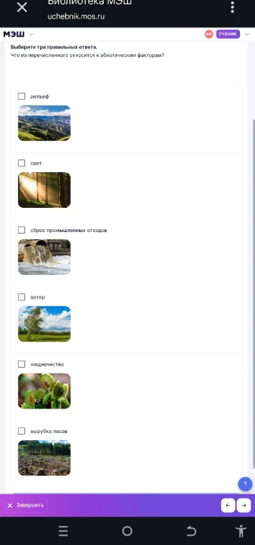 Выберите три правильных ответа. Что из перечисленного относится к абиотическим факторам?