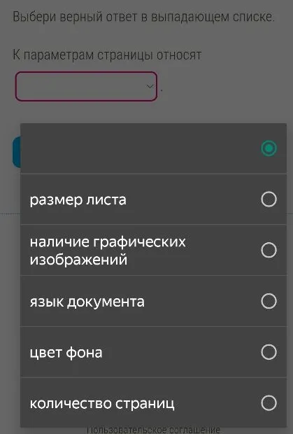 К параметрам страницы относят