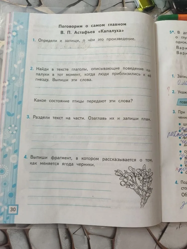 Определи и запиши, о чём это произведение (В. П. Астафьев «Капалуха»)