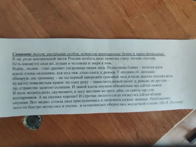 Спишите текст, раскрывая скобки, вставляя пропущенные буквы и знаки препинания.
