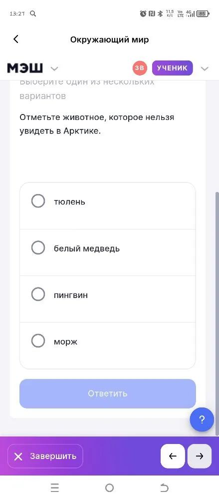 Отметьте животное, которое нельзя увидеть в Арктике.