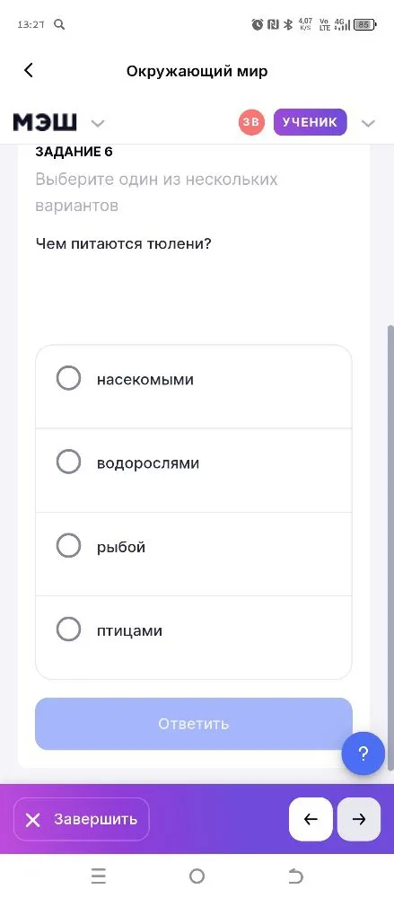 Чем питаются тюлени?