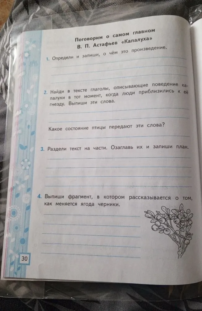 Выполни задания по рассказу В. П. Астафьева «Капалуха»: определи тему, выпиши глаголы поведения птицы, составь план и найди фрагмент о чернике.