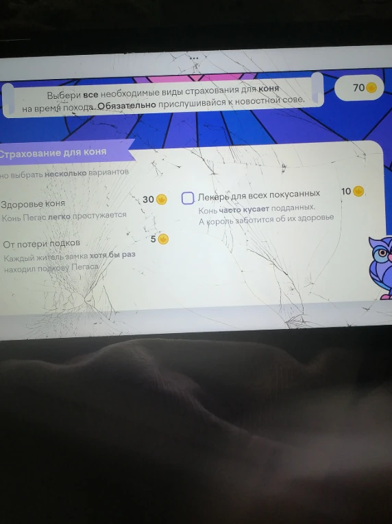 Выбери все необходимые виды страхования для коня на время похода. Обязательно прислушивайся к новостной сове.
