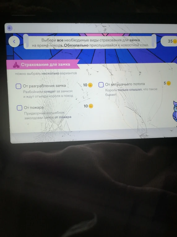 Выбери все необходимые виды страхования для замка на время похода.
