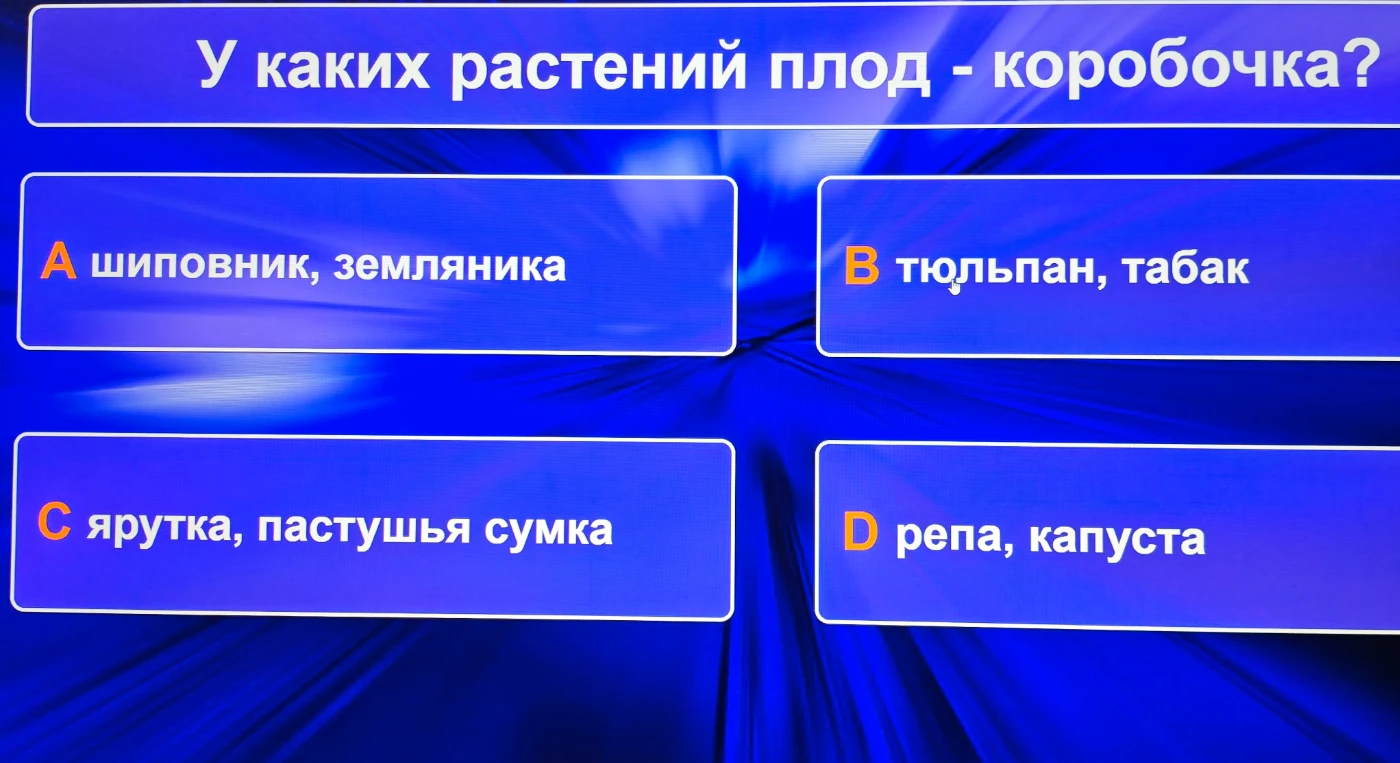 У каких растений плод - коробочка?