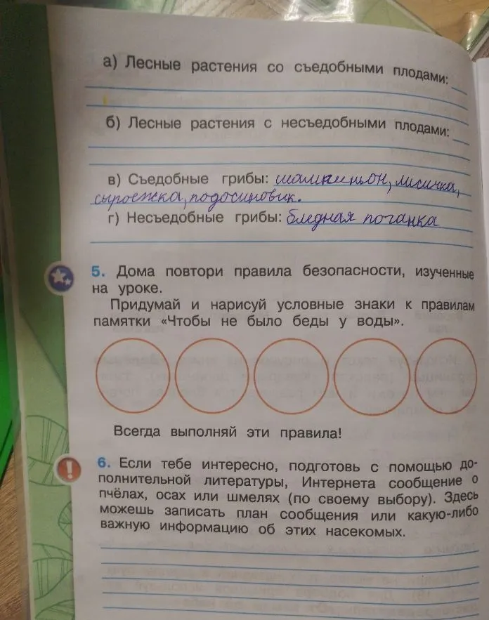 а) Лесные растения со съедобными плодами; б) Лесные растения с несъедобными плодами; 5. Дома повтори правила безопасности, изученные на уроке. Придумай и нарисуй условные знаки к правилам памятки «Чтобы не было беды у воды». 6. Подготовь сообщение о пчёлах, осах или шмелях.