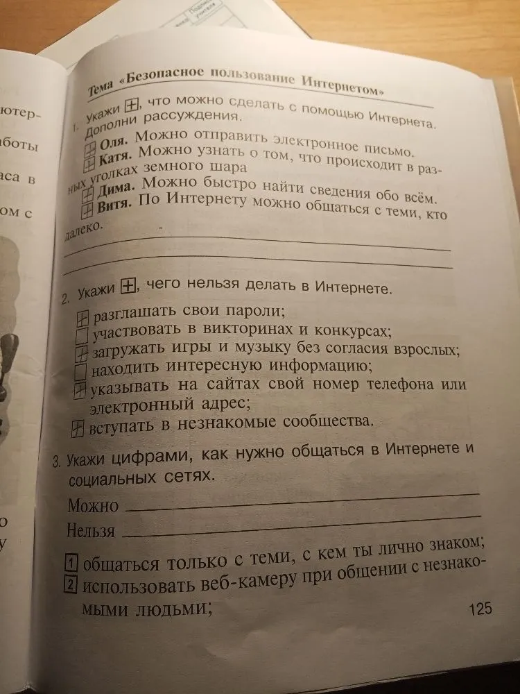 Тема «Безопасное пользование Интернетом»