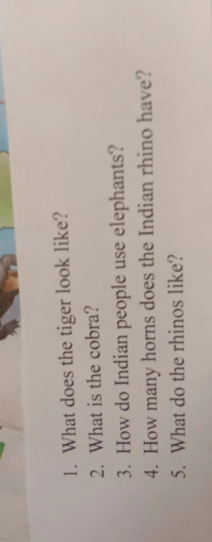 1. What does the tiger look like? 2. What is the cobra? 3. How do Indian people use elephants? 4. How many horns does the Indian rhino have? 5. What do the rhinos like?