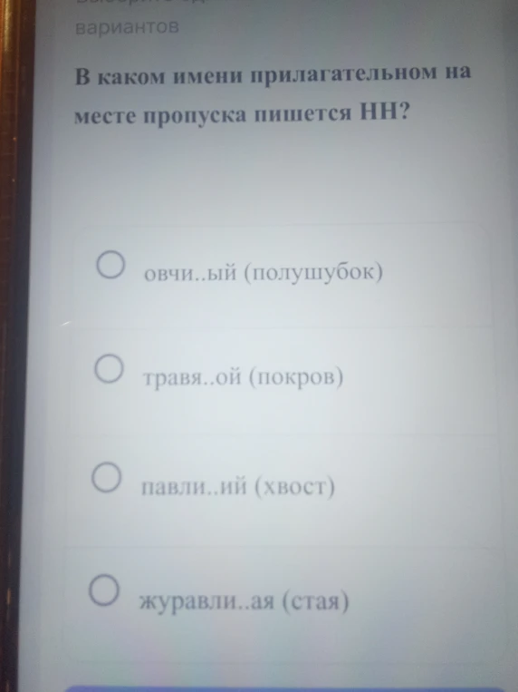 В каком имени прилагательном на месте пропуска пишется НН?