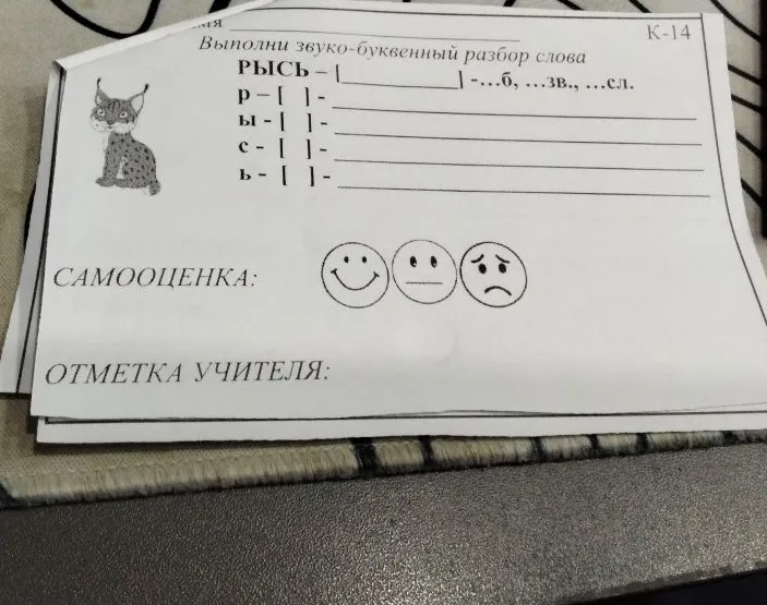 Выполни звуко-буквенный разбор слова РЫСЬ