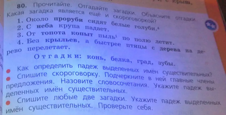Прочитайте. Отгадайте загадки. Объясните отгадки. Какая загадка является ещё и скороговоркой?